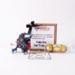 PACK TORITO PROTECTOR